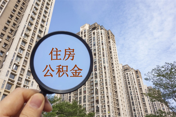 郑州公积金代取（郑州公积金提取中介）